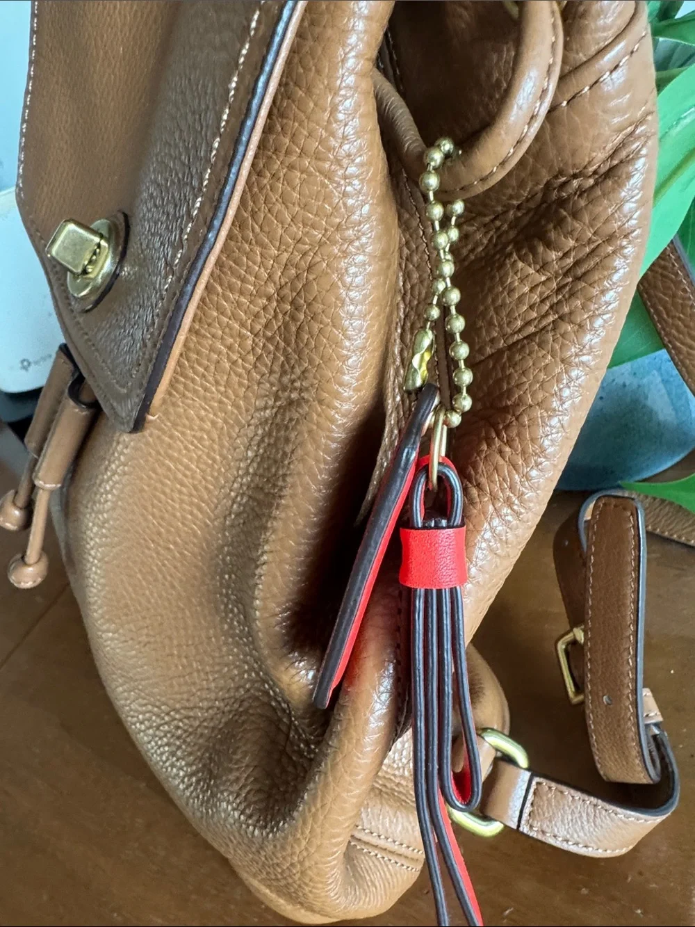 Coach Park Leather Backpack